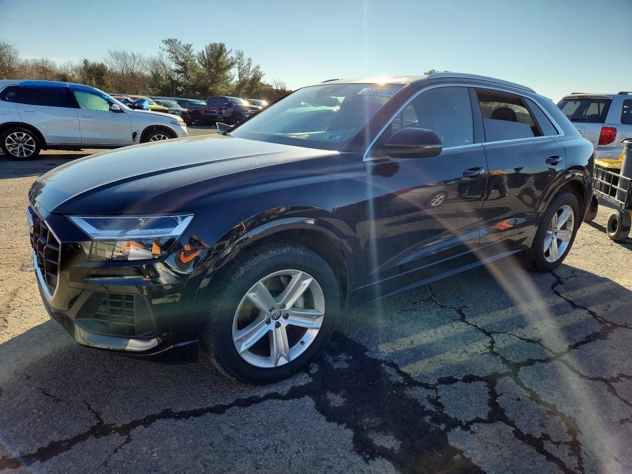2019 Audi Q8