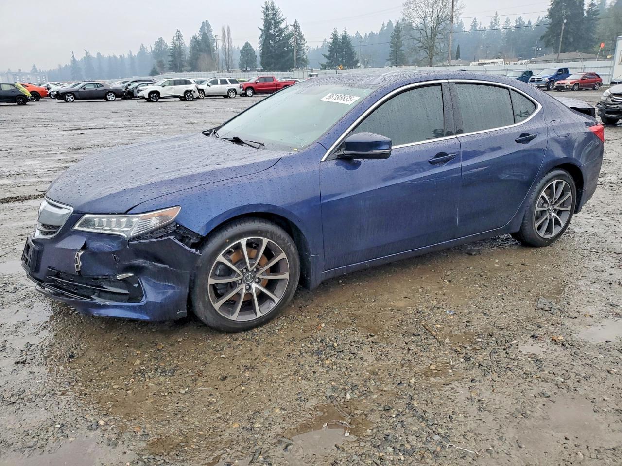 2015 Acura TLX