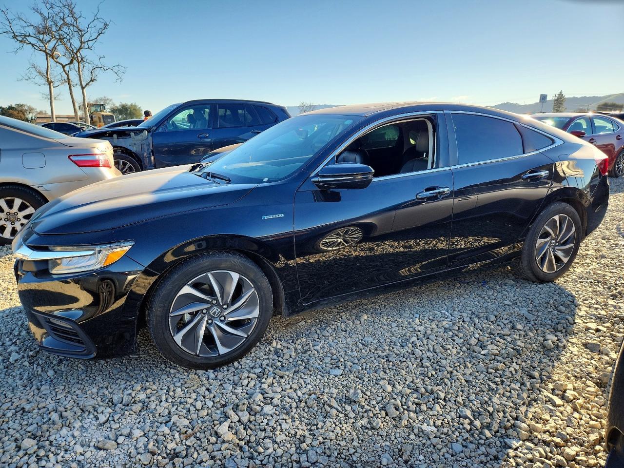 2019 Honda Insight