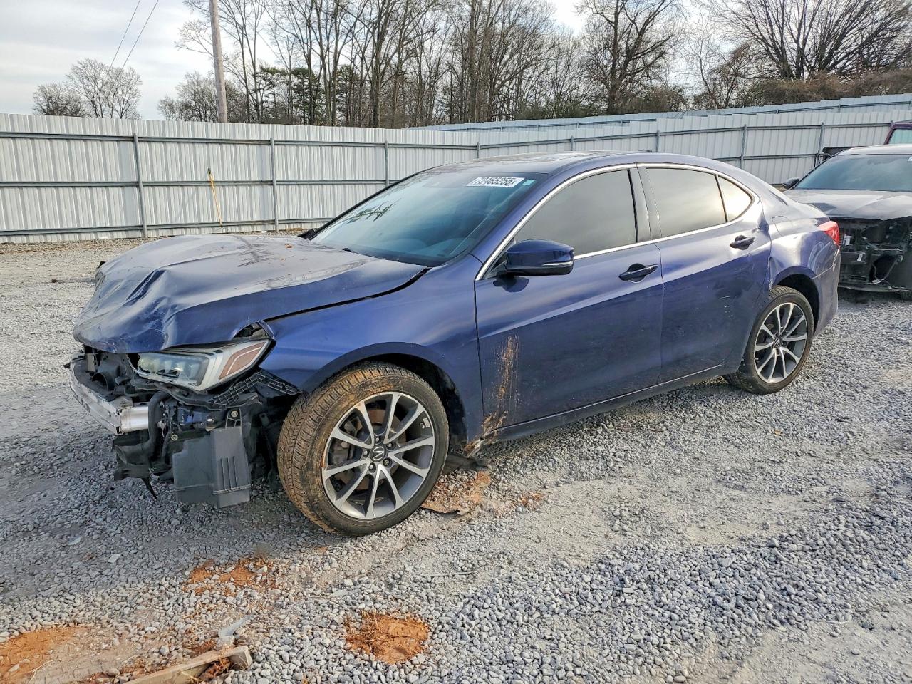2019 Acura TLX