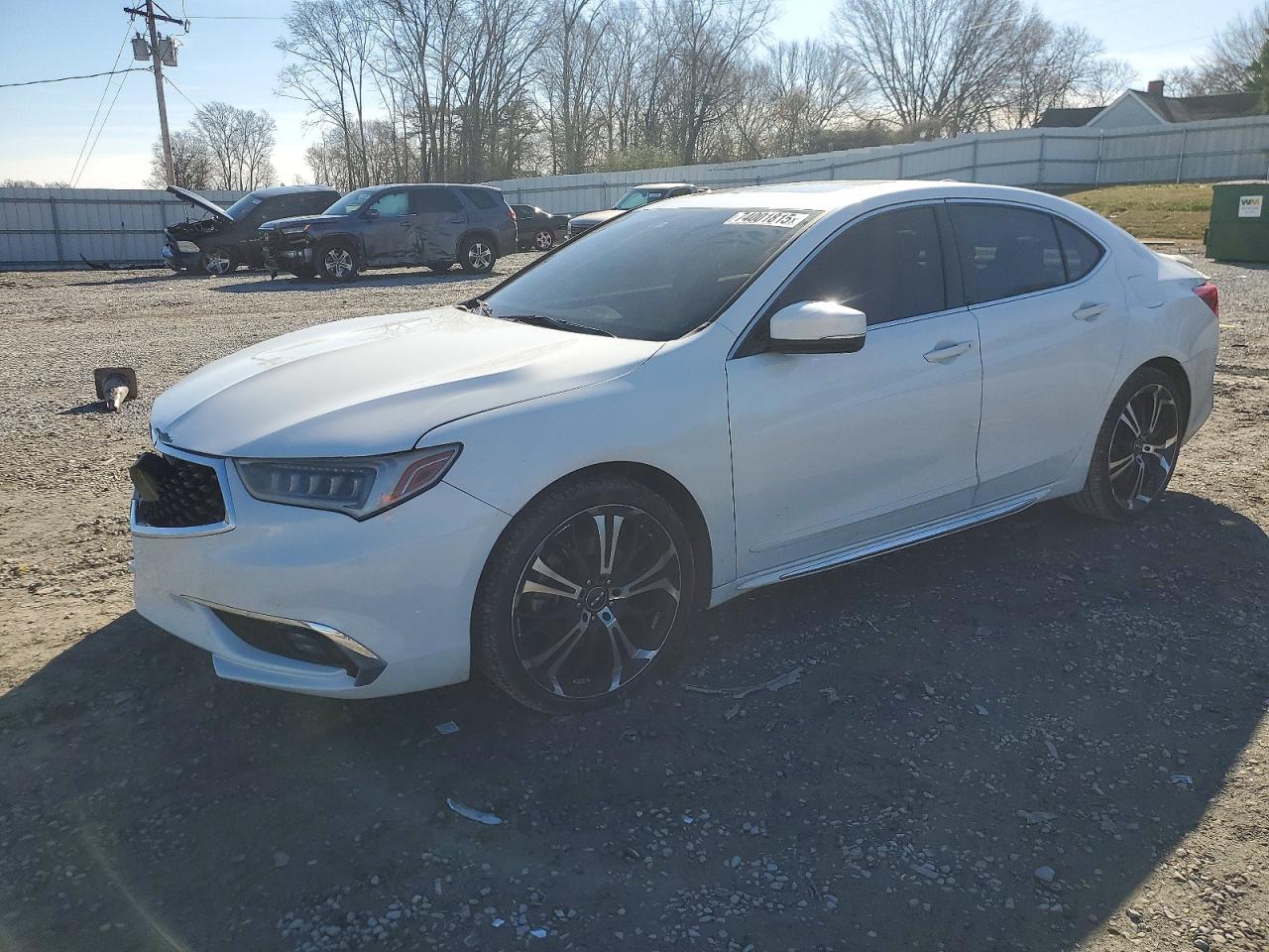2019 Acura TLX