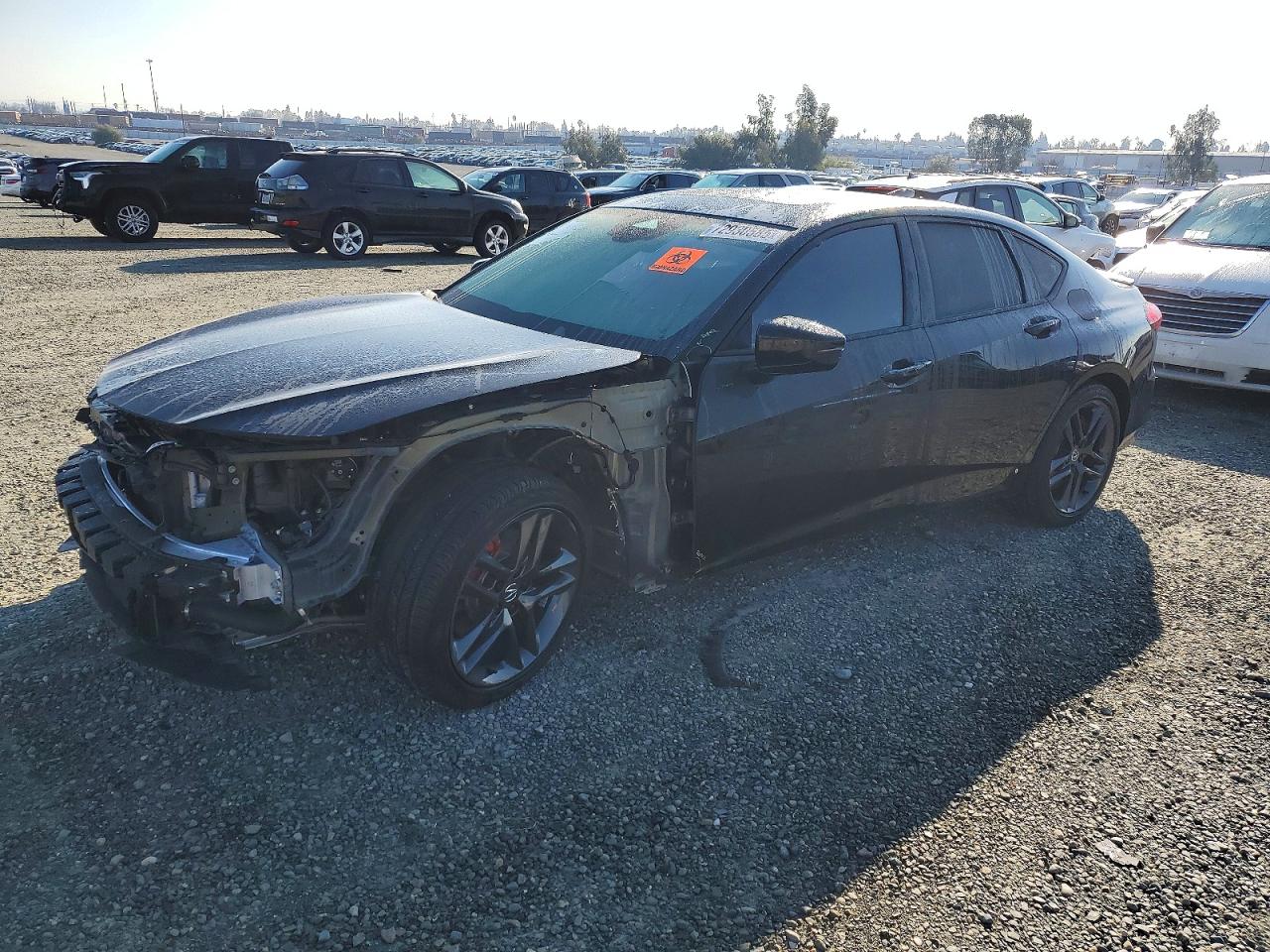 2025 Acura TLX
