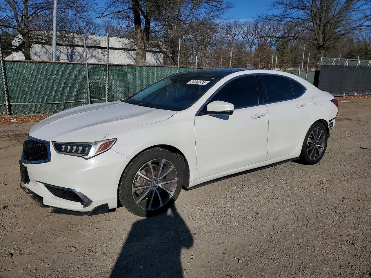 2019 Acura TLX