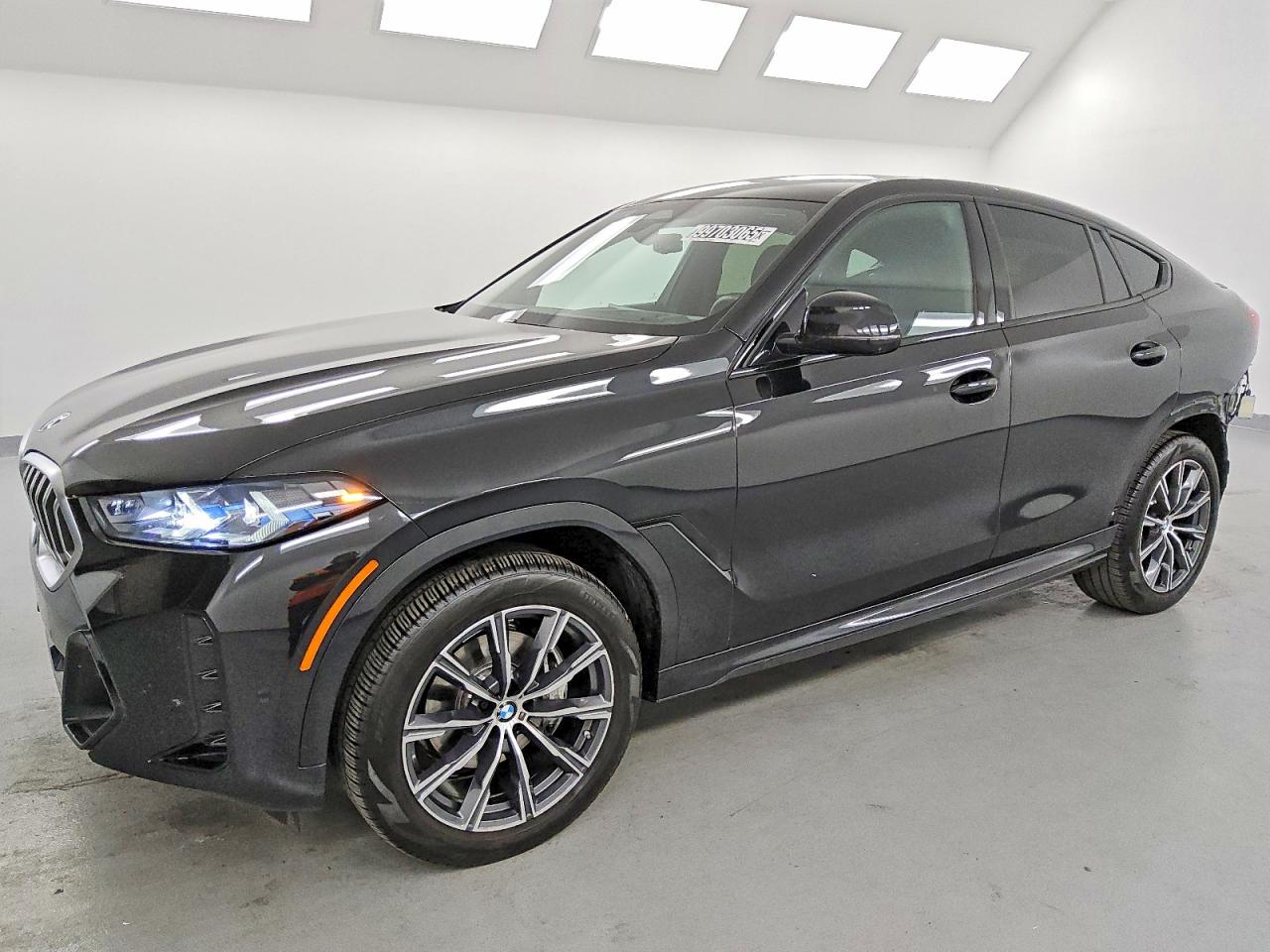 2025 BMW X6