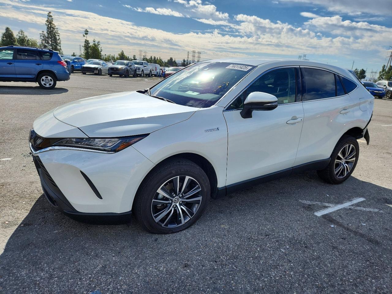 Toyota Venza