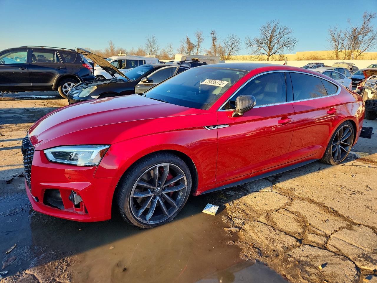 2019 Audi S5