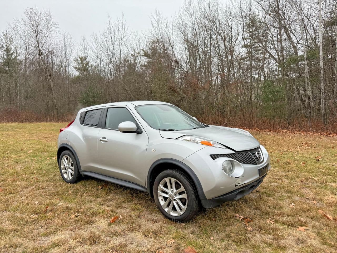 2014 Nissan Juke