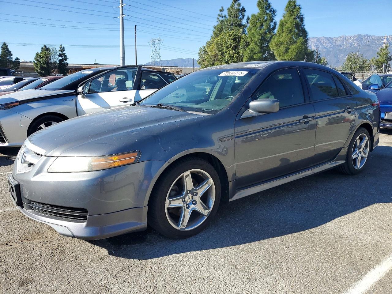 2006 Acura TL