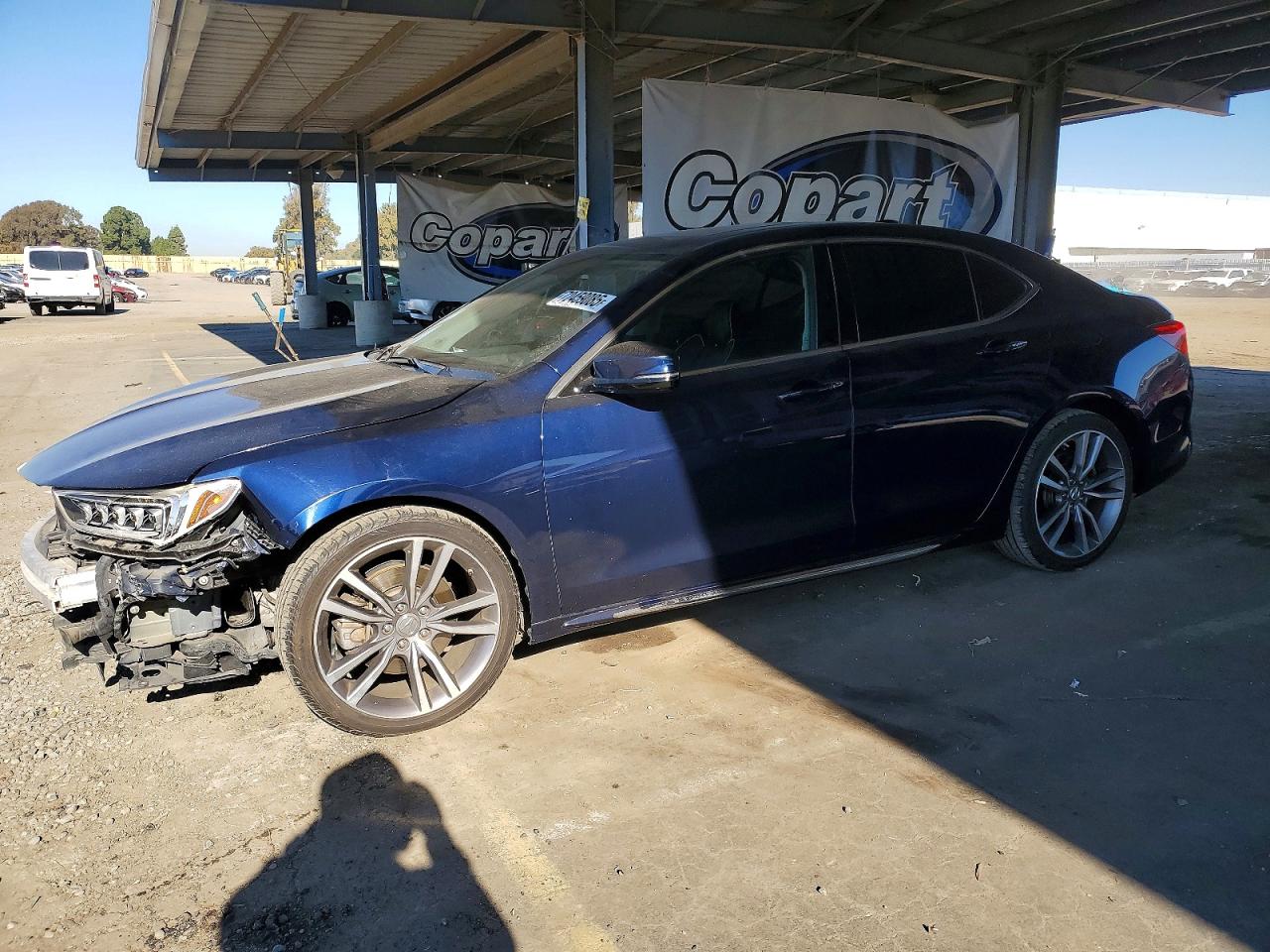 2019 Acura TLX