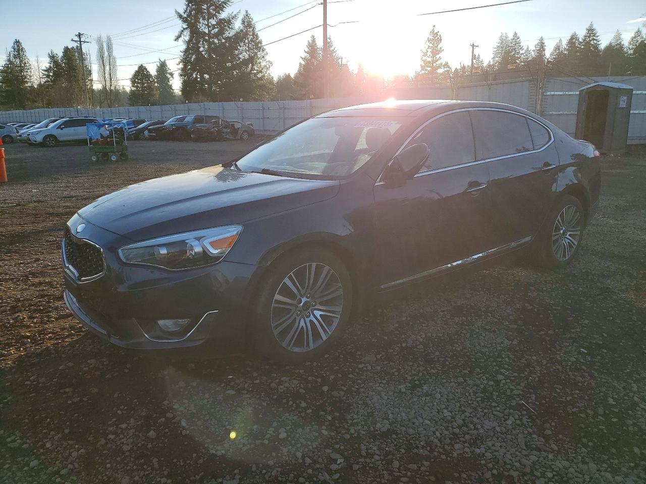 2014 Kia Cadenza