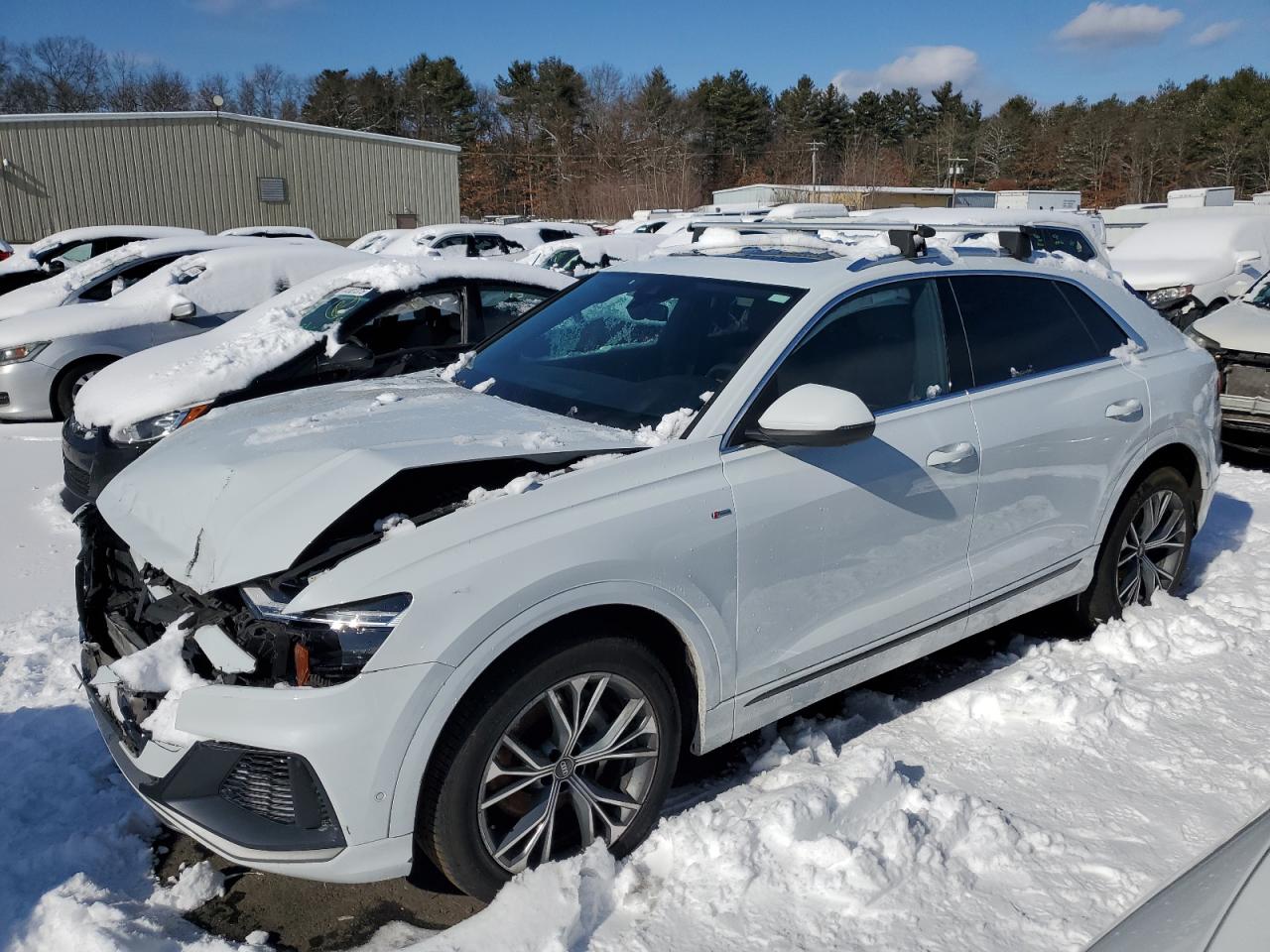 2021 Audi Q8