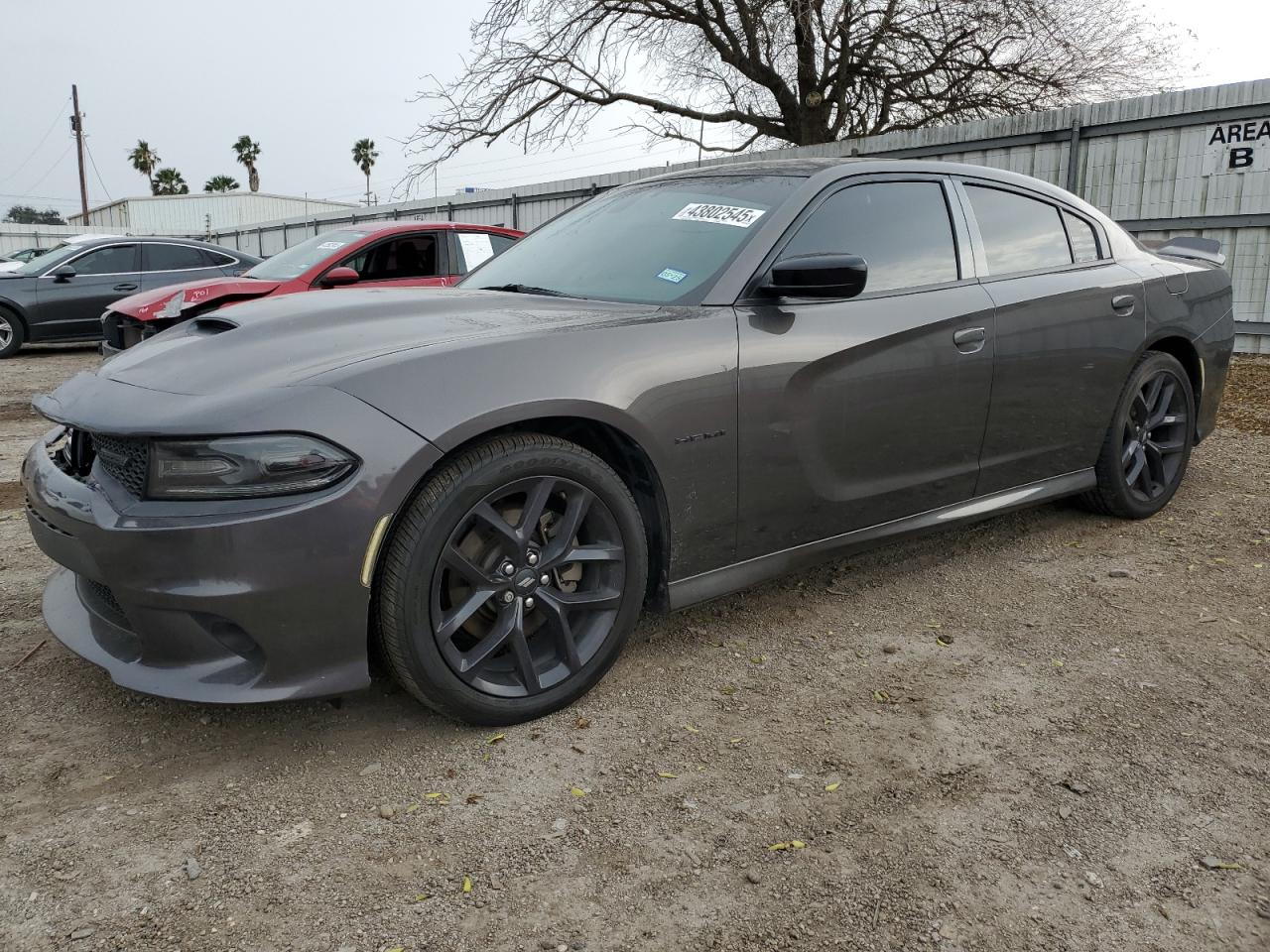 2021 Dodge Charger r/ R/T