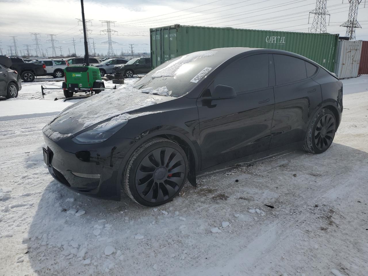 2025 Tesla Model y