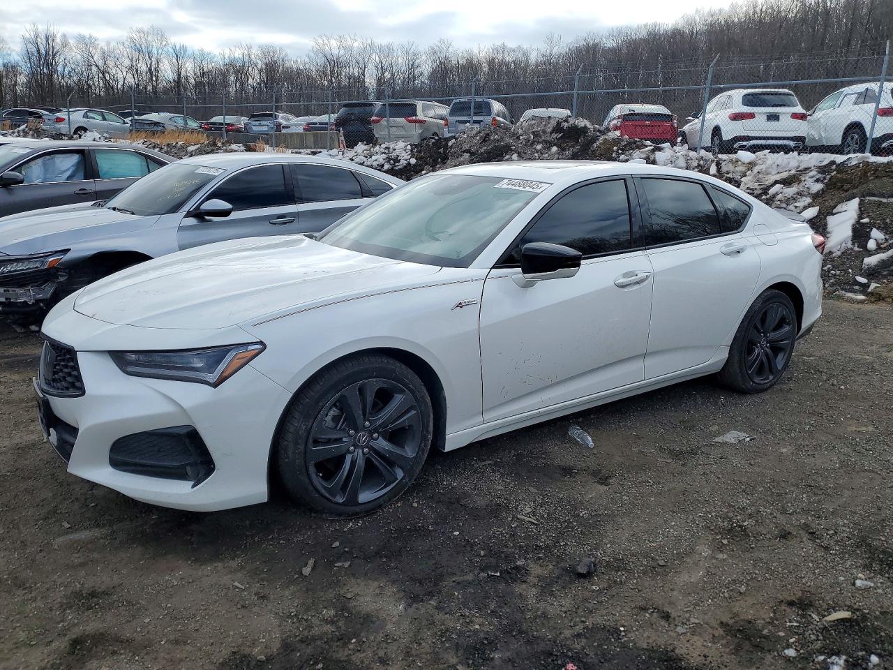 2021 Acura TLX