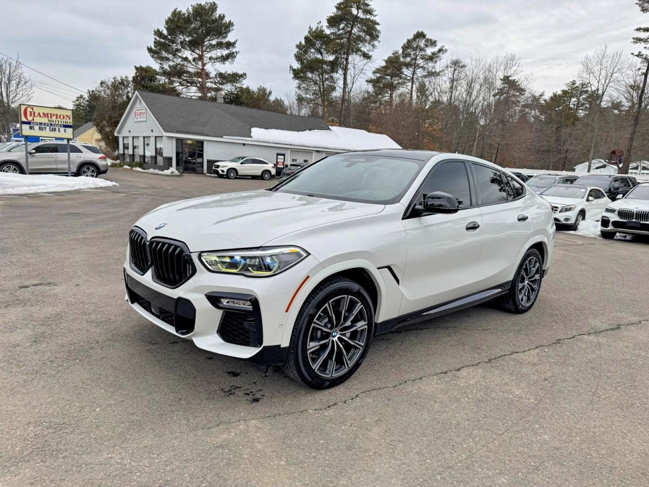 2021 BMW X6