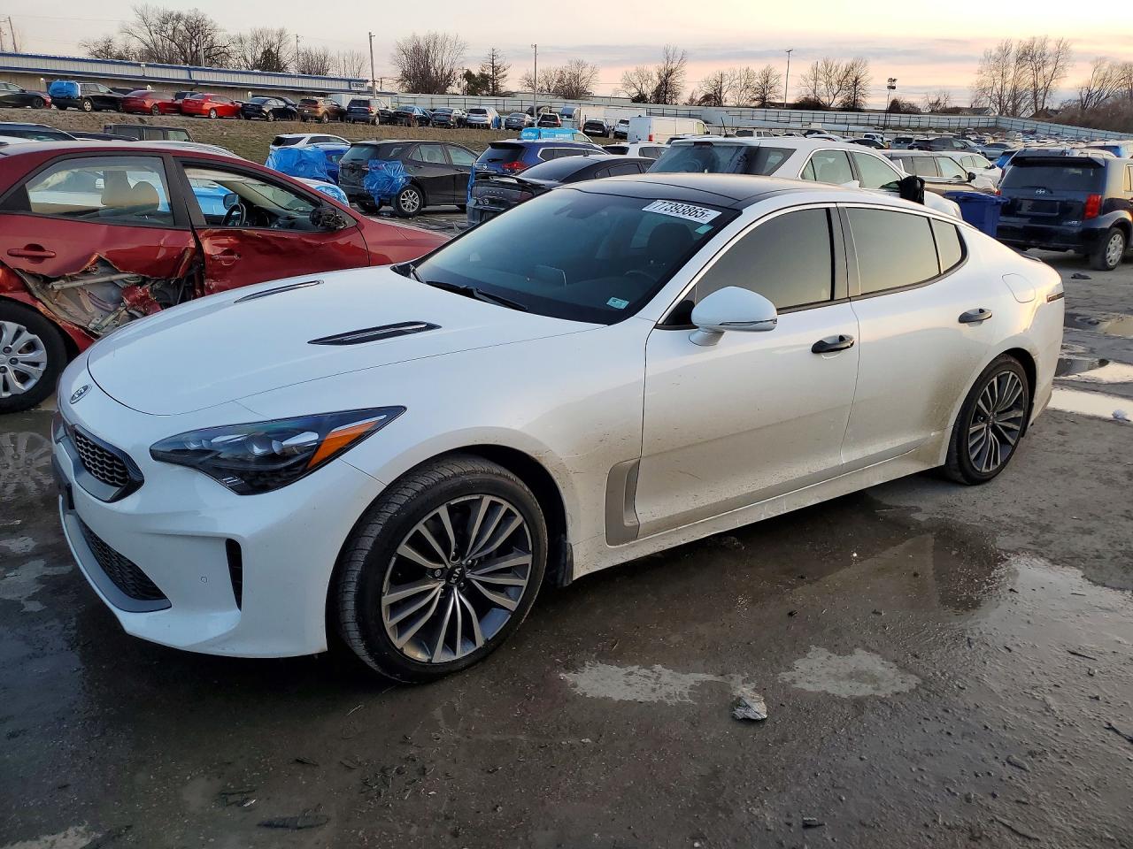 2019 Kia Stinger