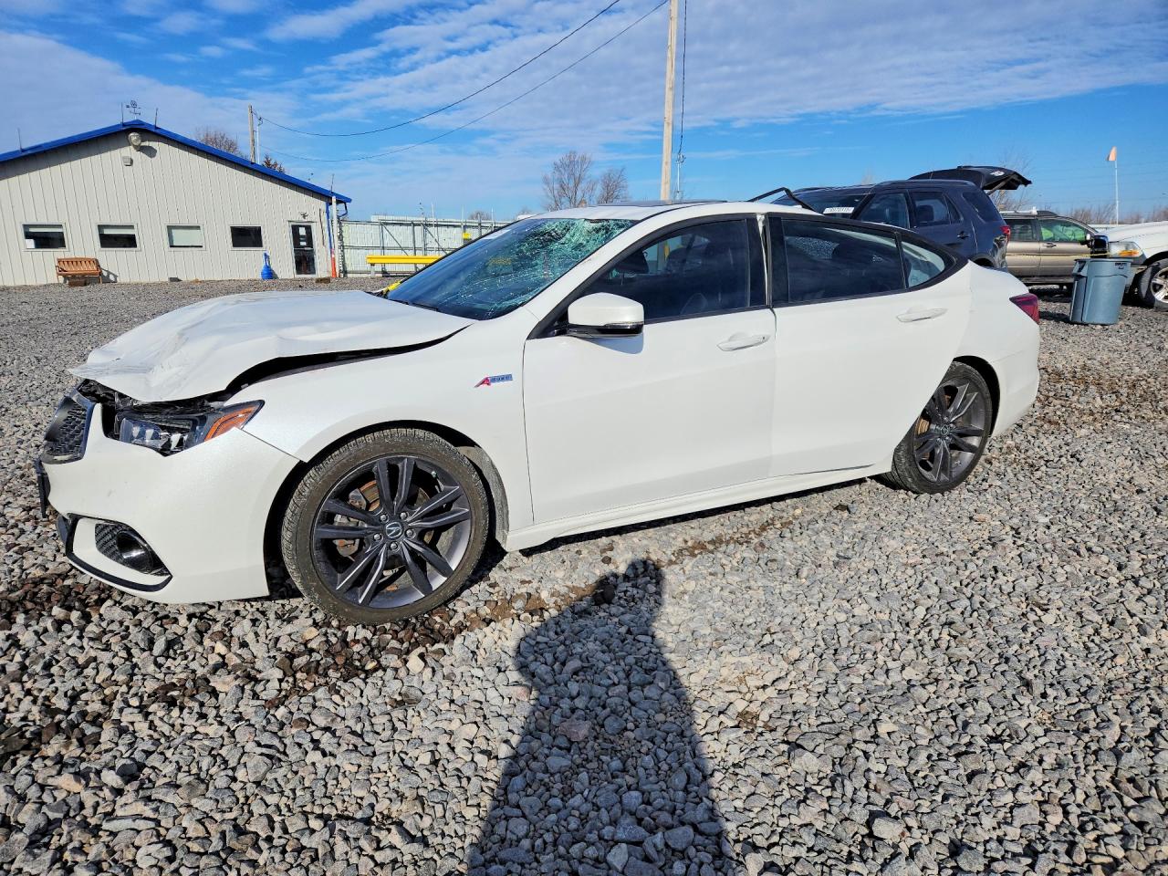 2019 Acura TLX