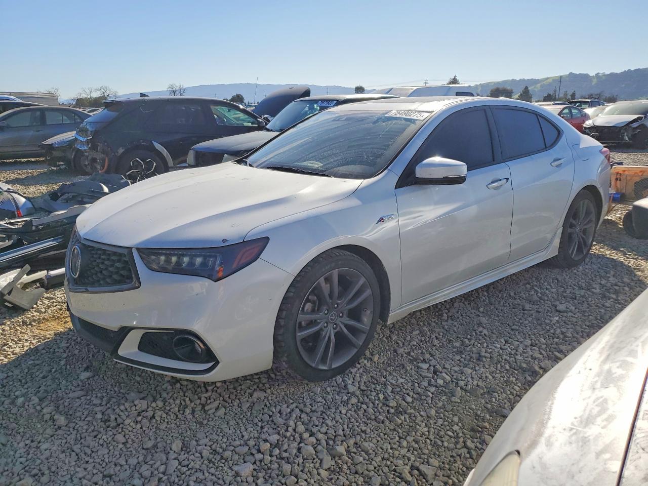 2019 Acura TLX