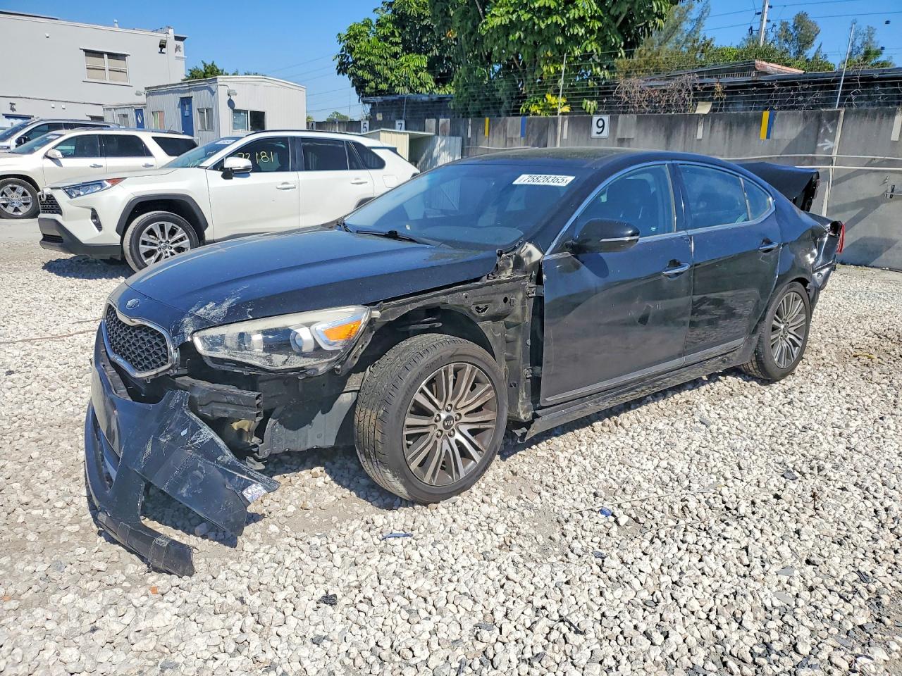 2015 Kia Cadenza