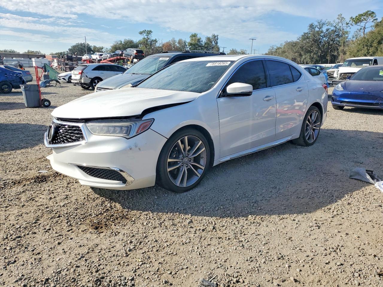 2020 Acura TLX