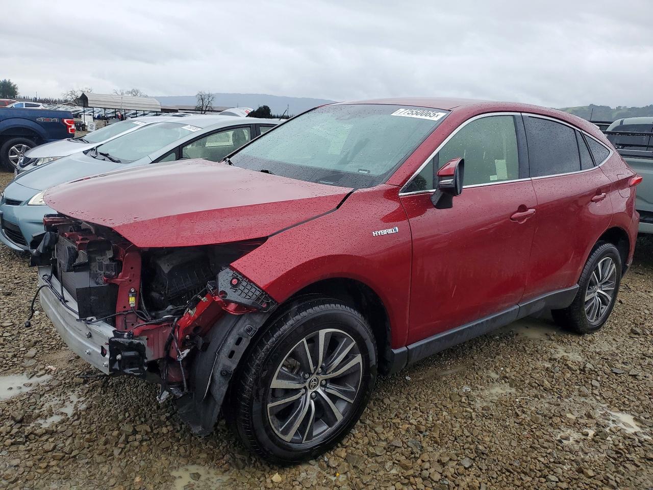 2021 Toyota Venza