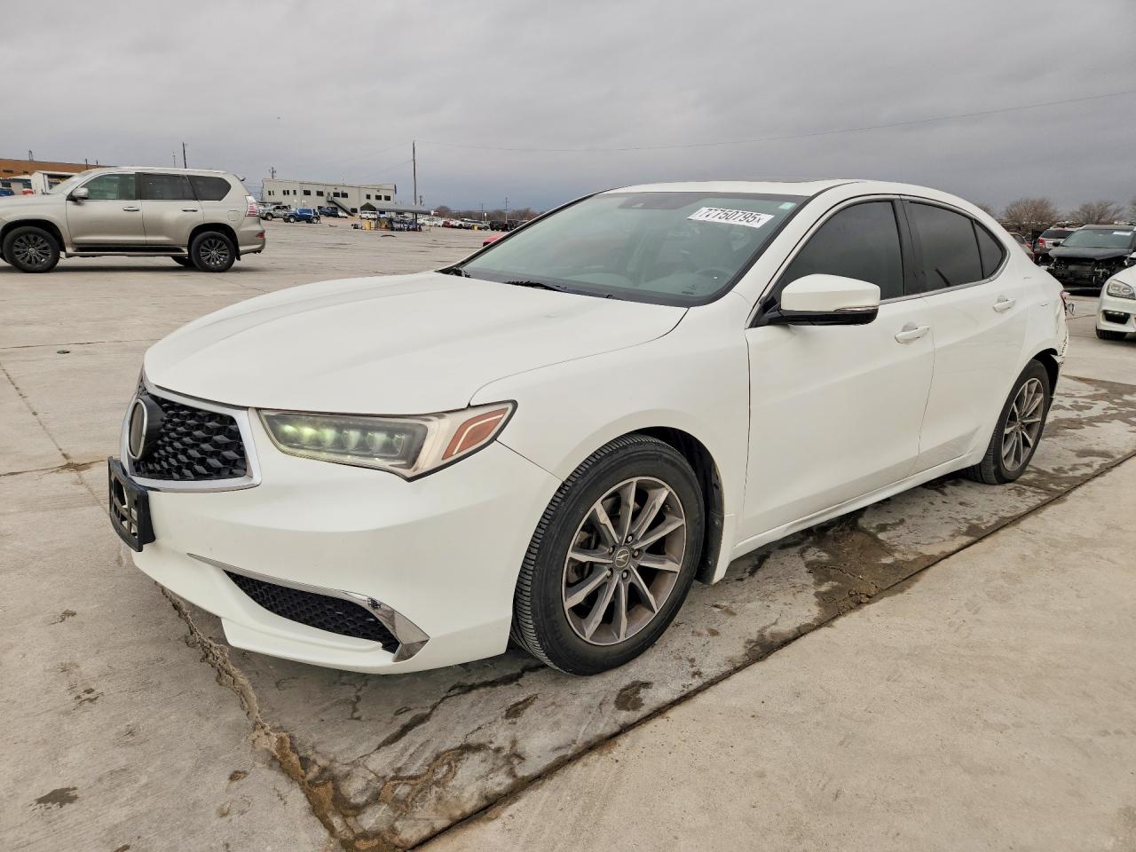 2019 Acura TLX