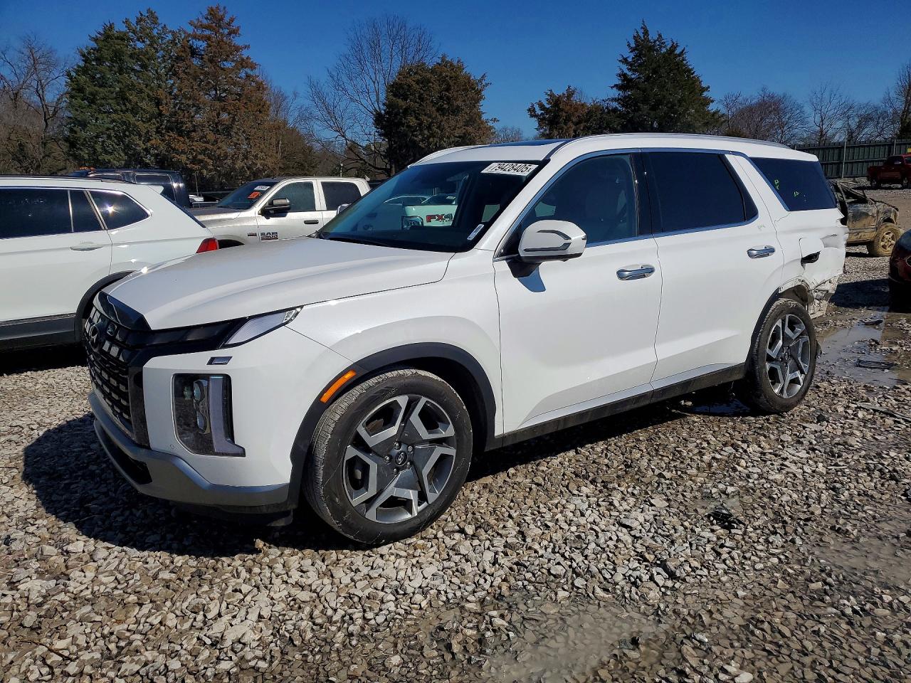 2025 Hyundai Palisade