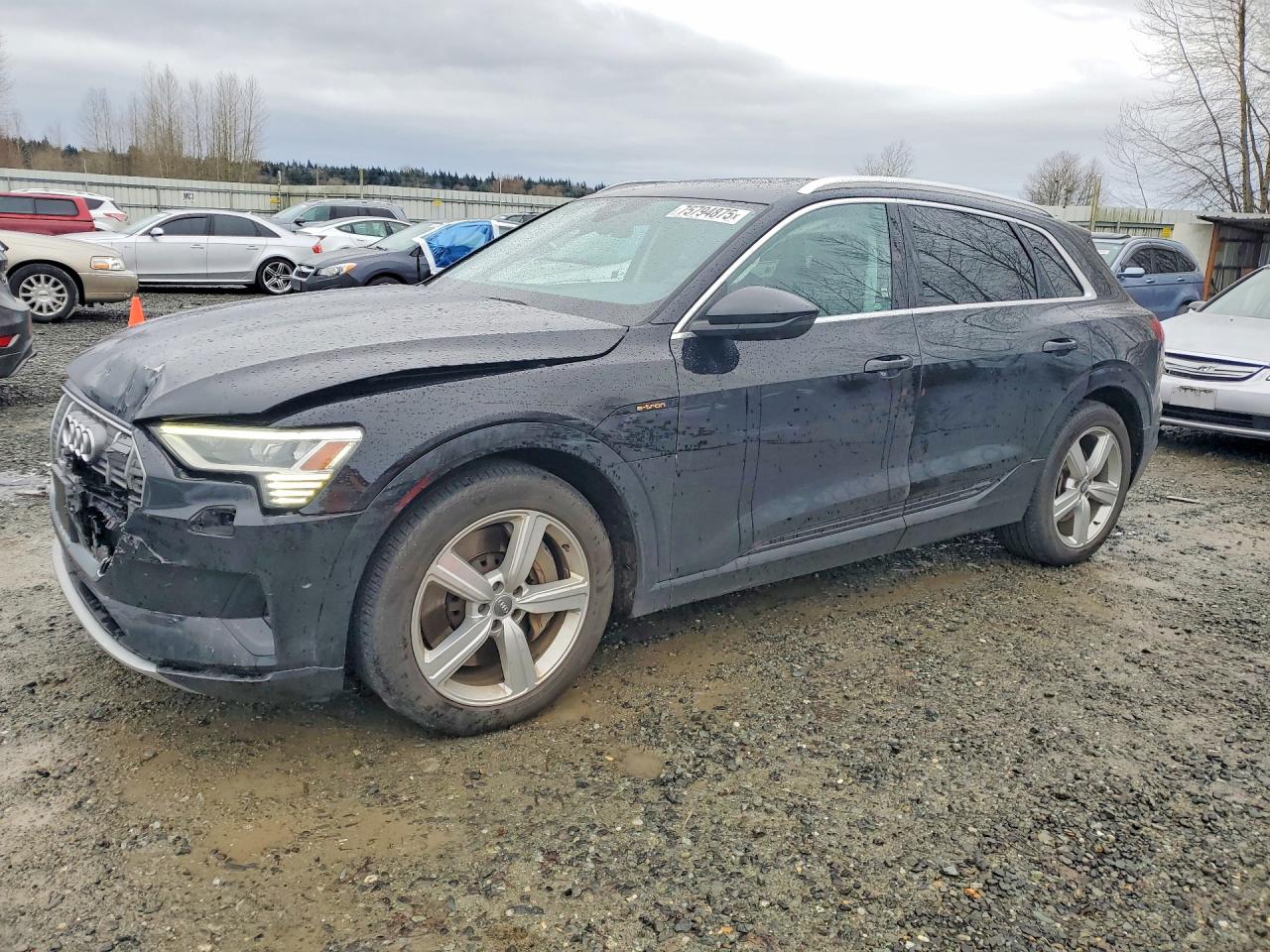 2019 Audi e-tron