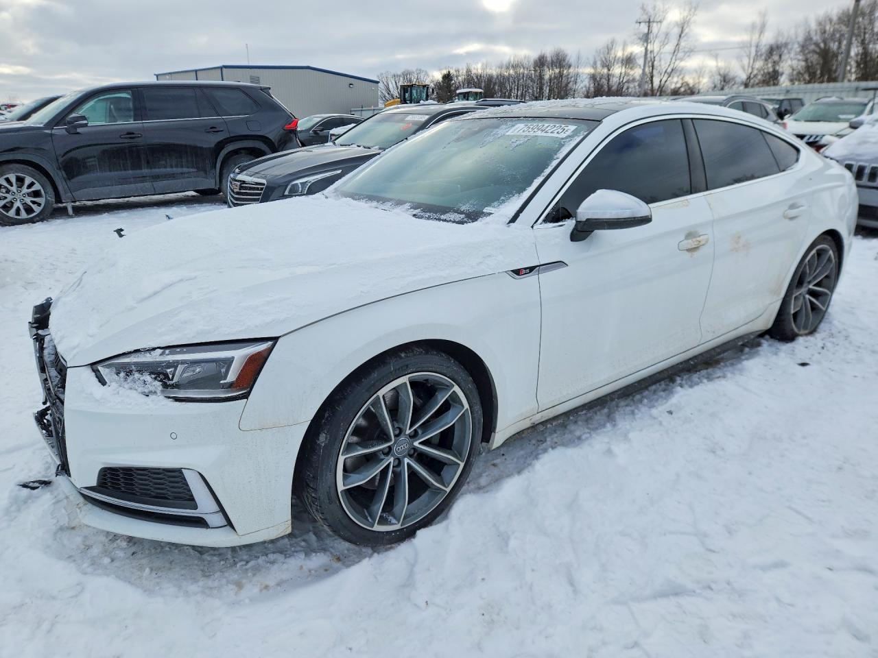 2019 Audi S5
