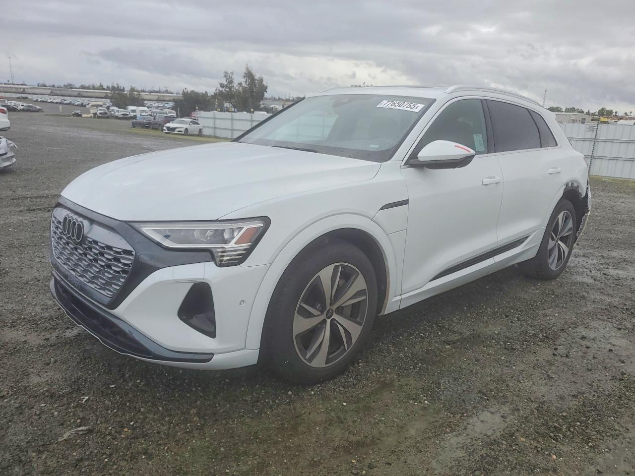 2024 Audi Q8