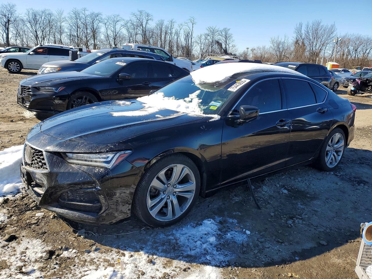 2021 Acura TLX