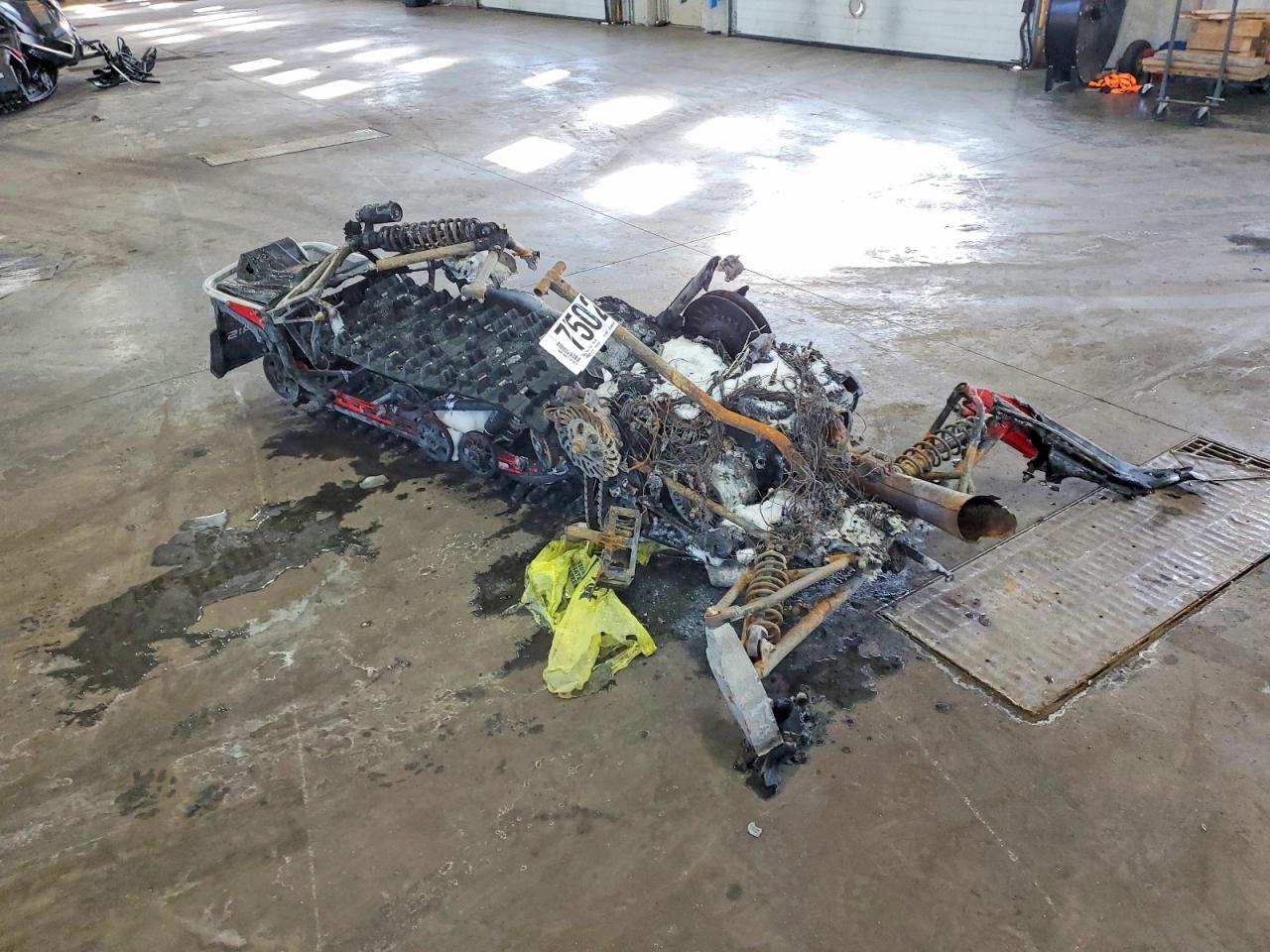 Polaris Aness King