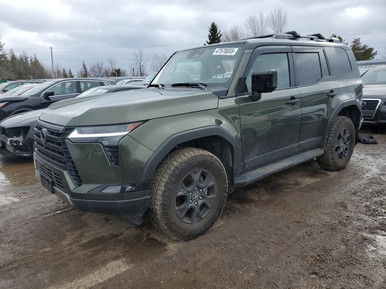2024 Lexus Gx 550 pre