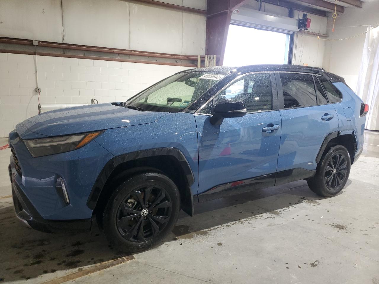 2024 Toyota Rav4 Xse