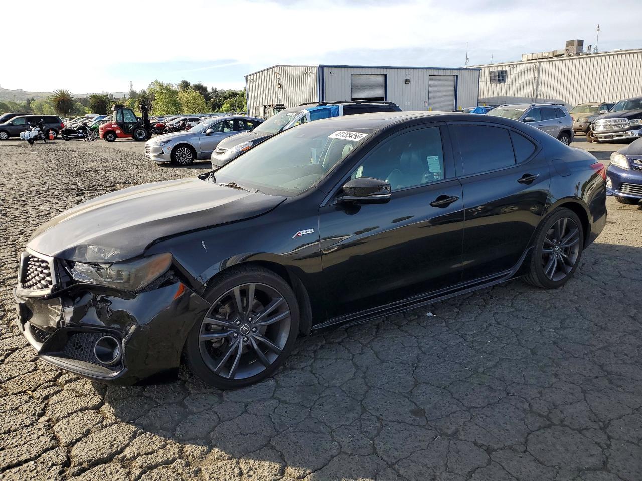 2019 Acura TLX