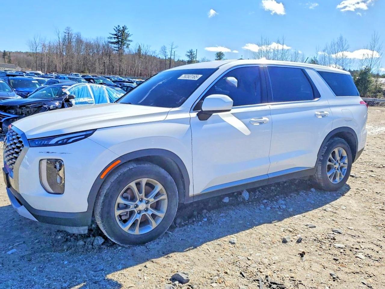 2021 Hyundai Palisade