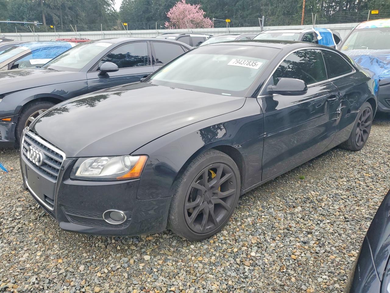 2010 Audi A5