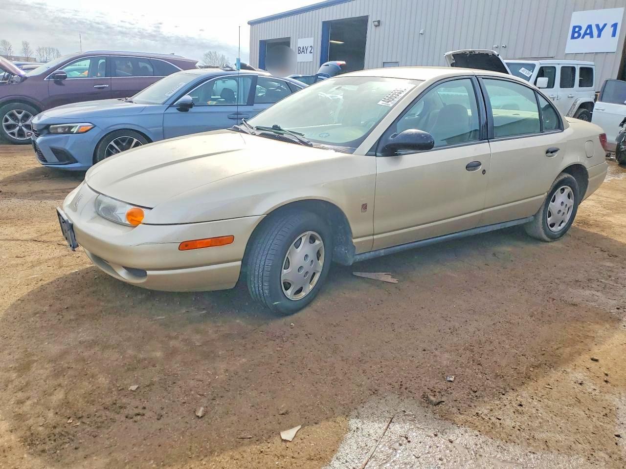 2002 Snowex Sl1