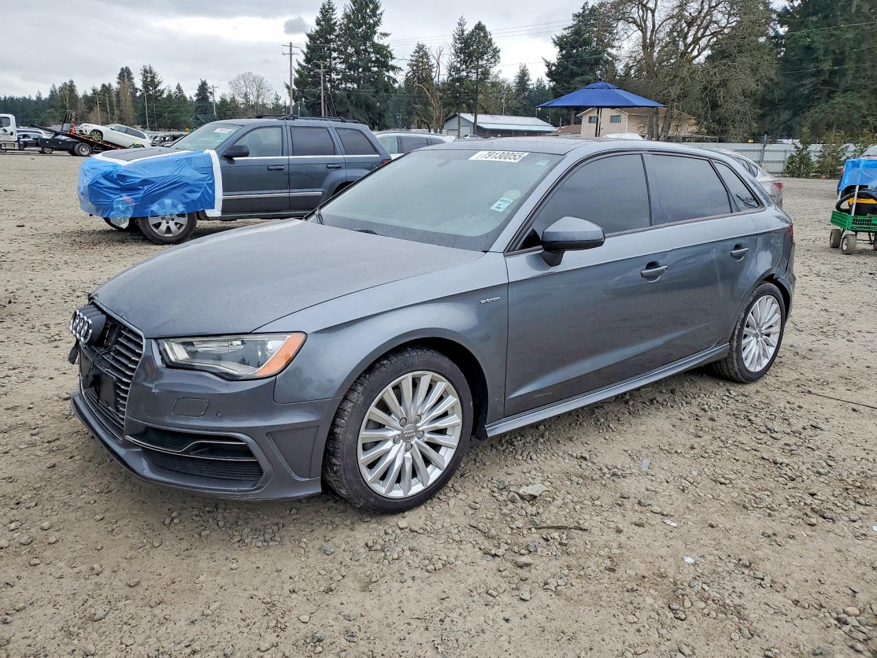 2016 Audi A3 e-tron