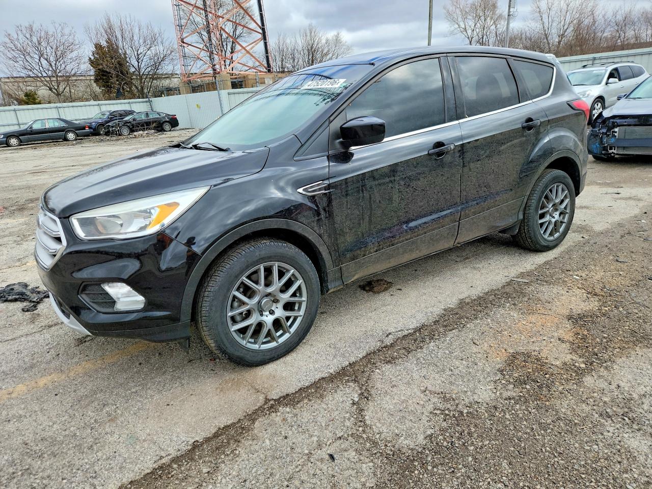 2019 Ford Escape