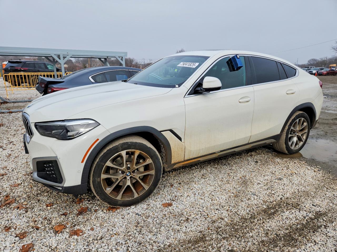 2020 BMW X6