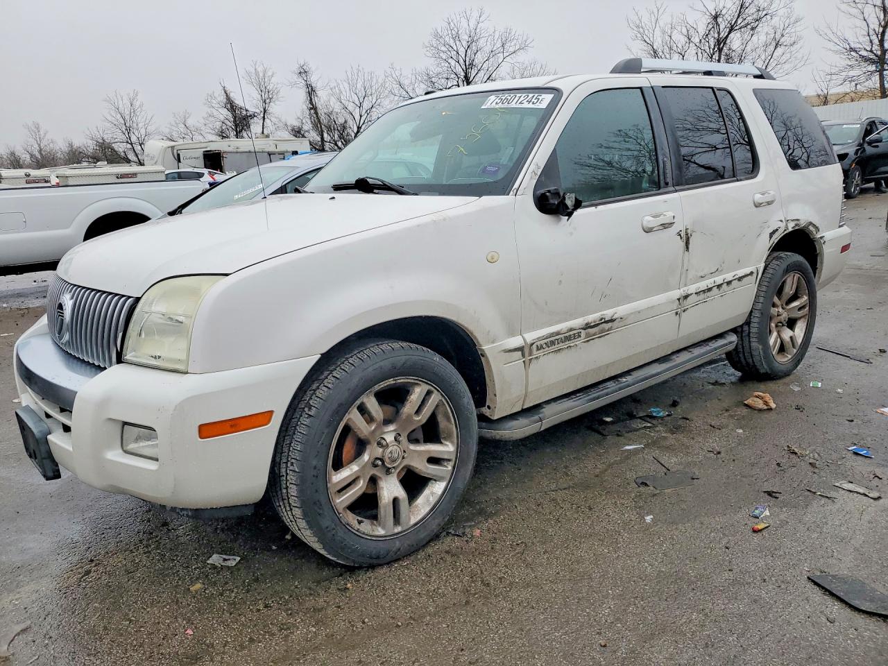 2010 Mercury Mountaineer