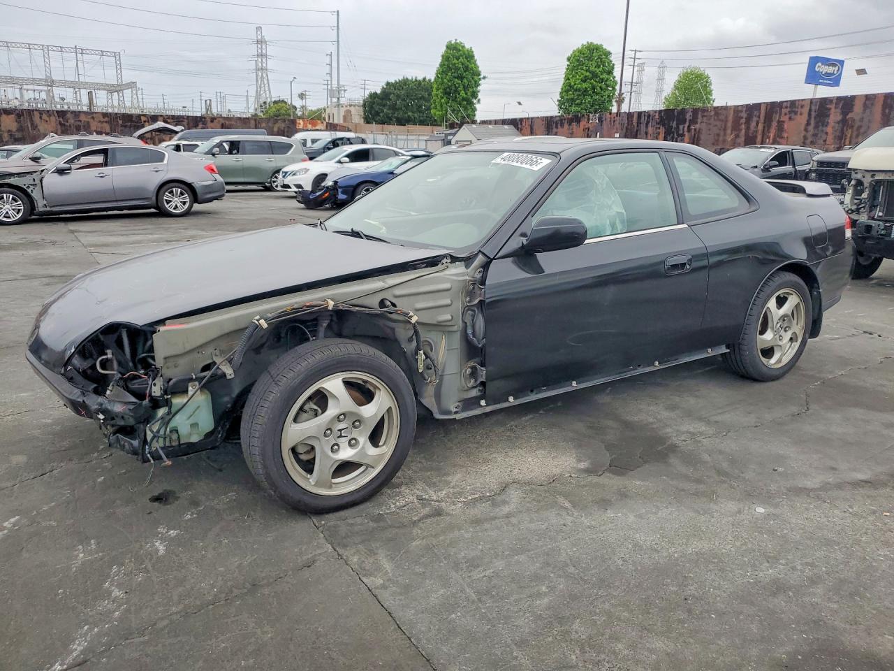 Hond Prelude