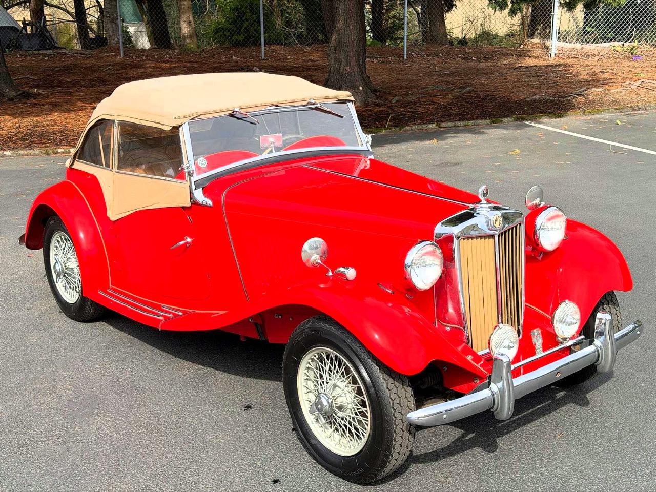 Mg Td