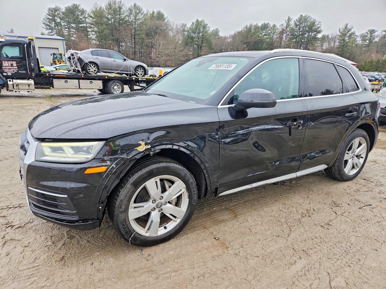 2019 Audi Q5