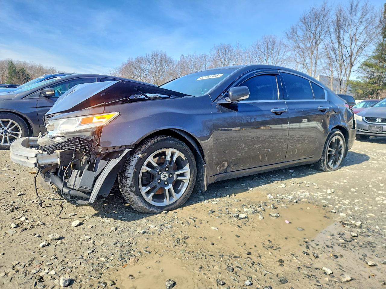 2009 Acura TL