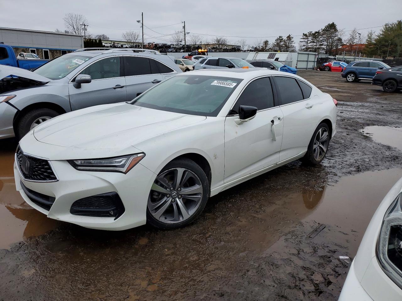 2021 Acura TLX
