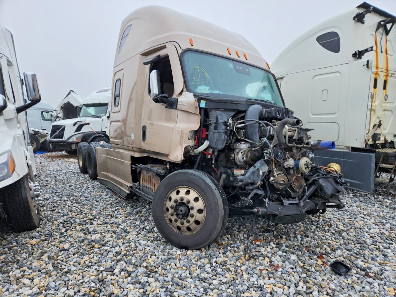 2021 Freightliner Cascadia 126