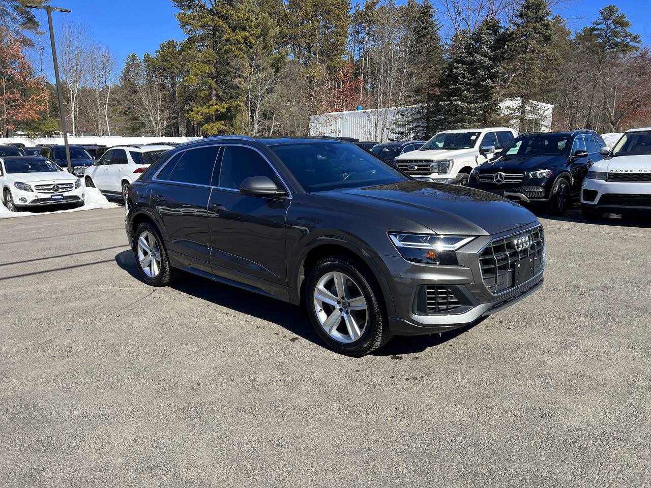 2019 Audi Q8
