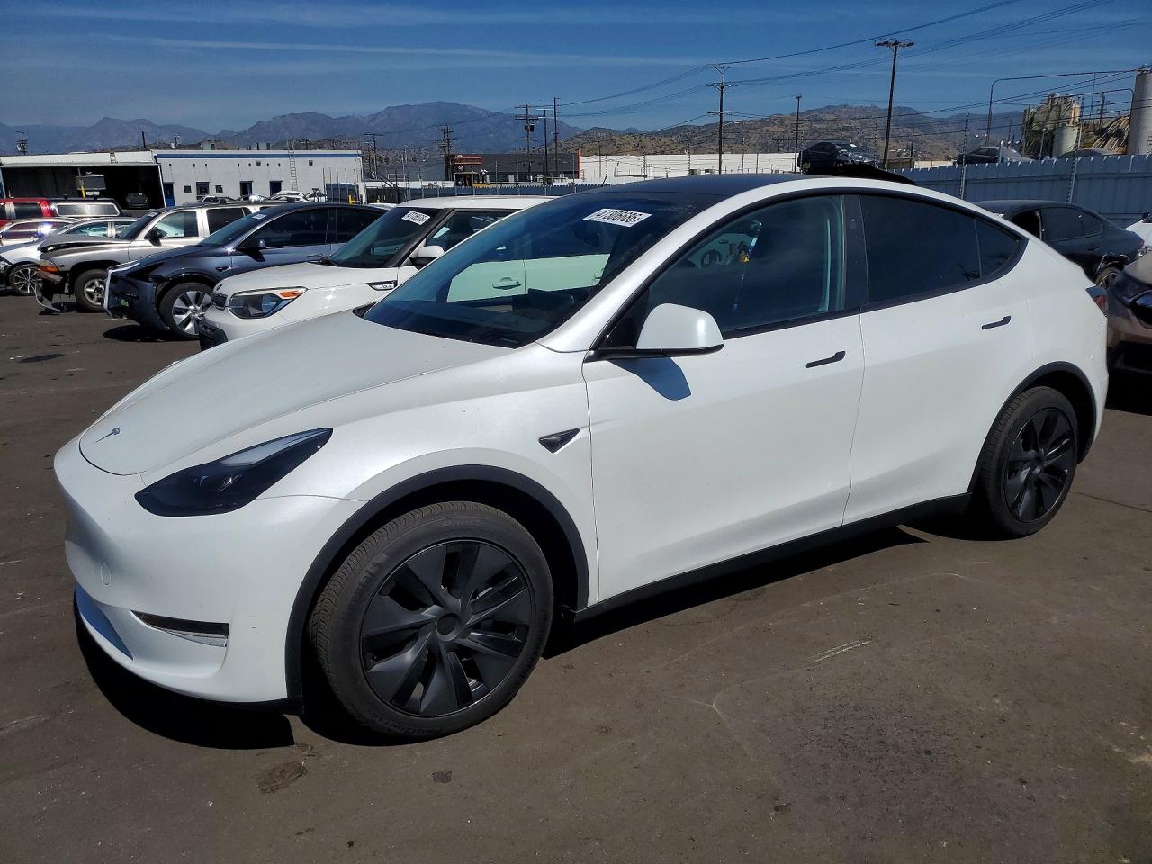 2025 Tesla Model Y